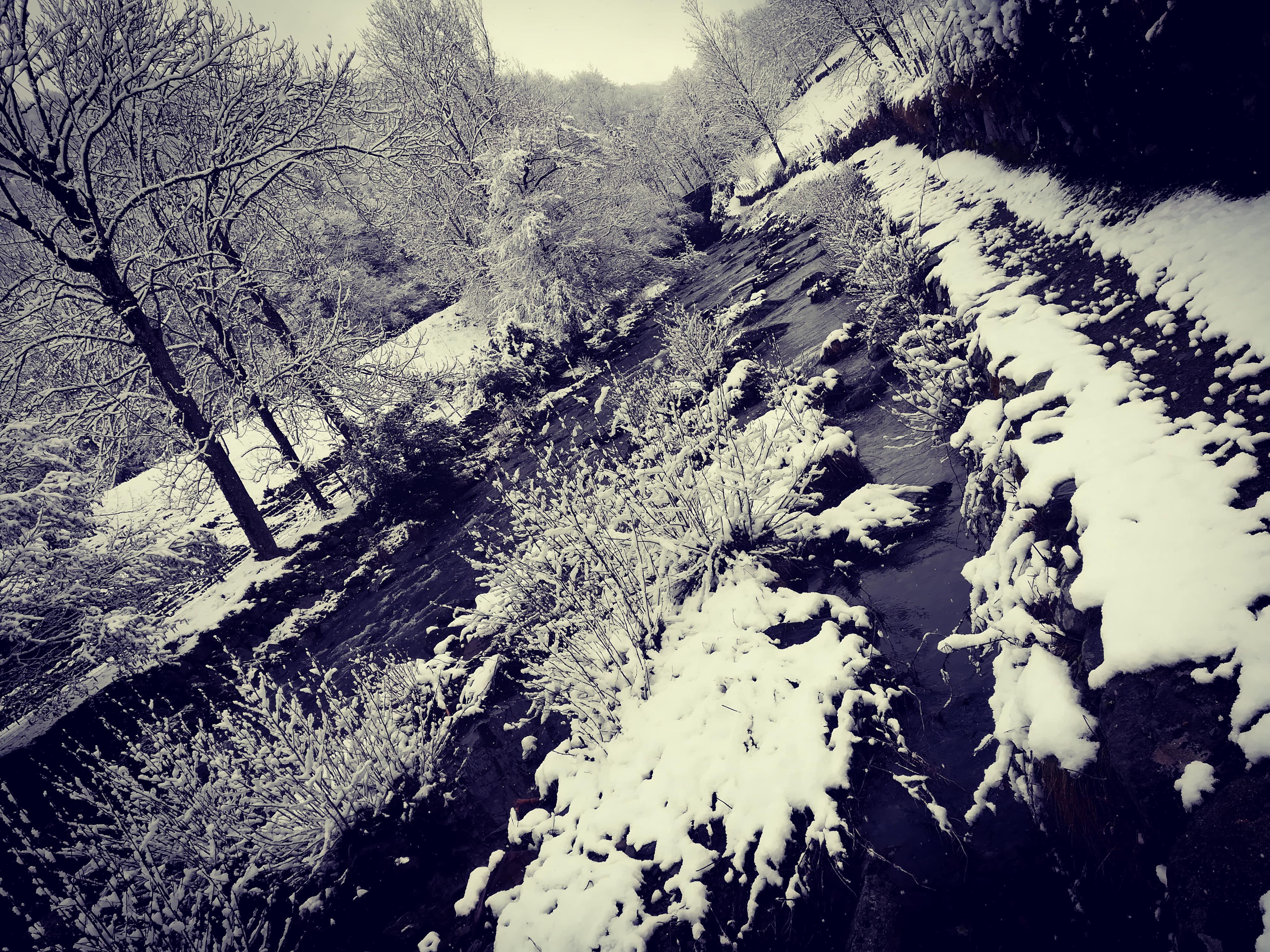 paysage d'une rivière gelée entouré de forêt enneigée